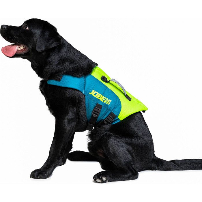 2024 Jobe Pet Vest 240023001 - Teal